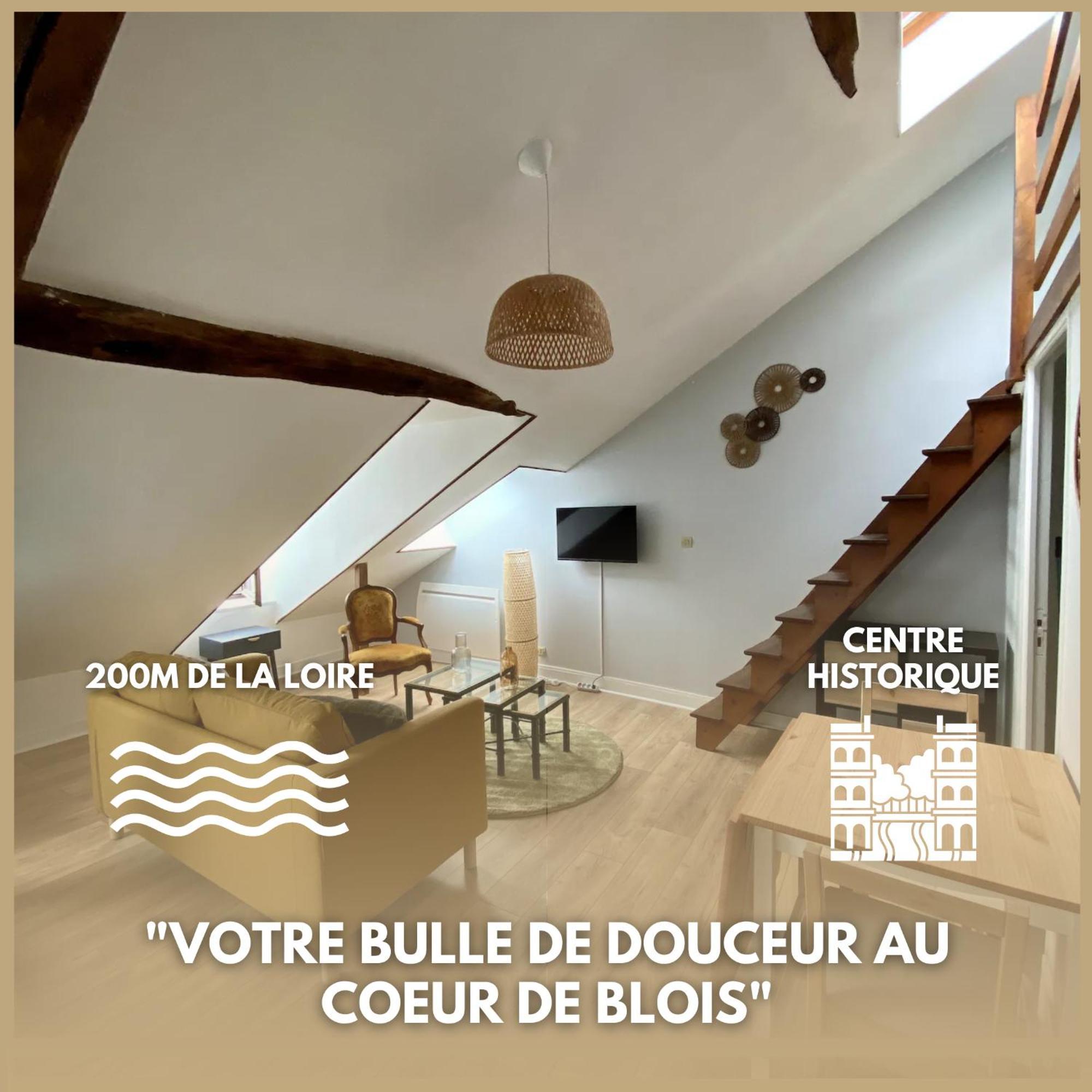 Le Cocon - Appartement En Hyper Centre Blois Exterior foto